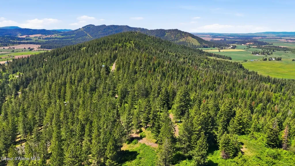 Nna S Aurora Lane Worley ID 83876