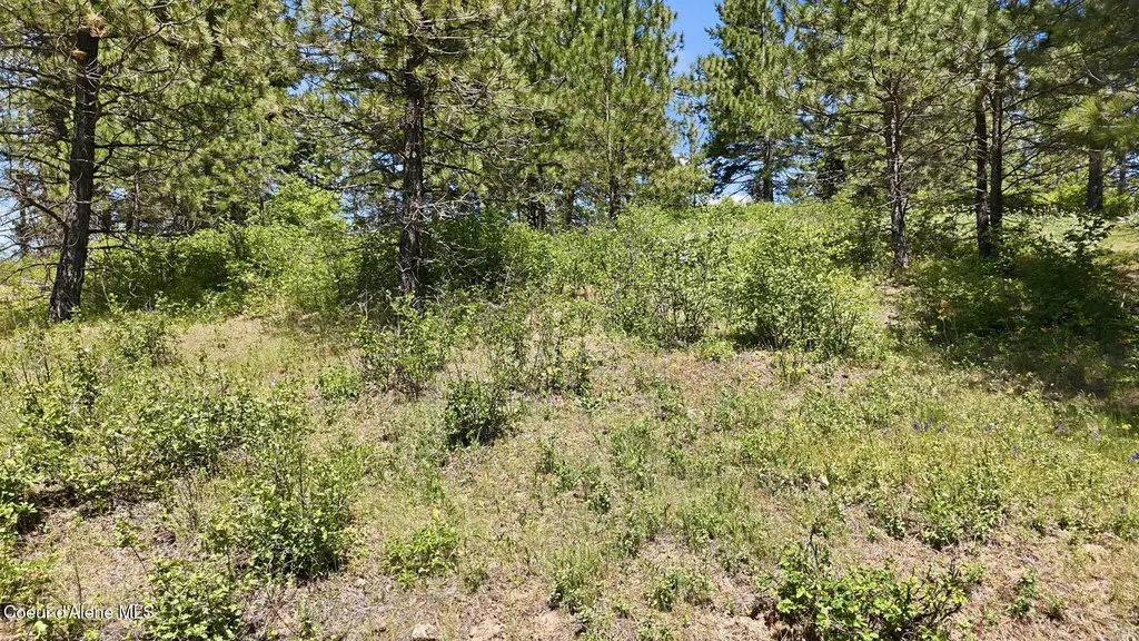 Nna S Aurora Lane Worley ID 83876
