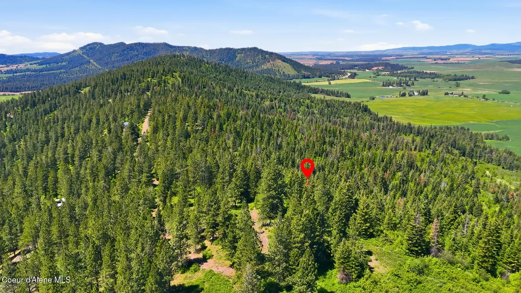 Nna S Aurora Lane Worley ID 83876
