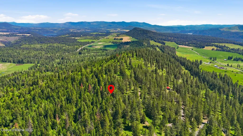 Nna S Aurora Lane Worley ID 83876
