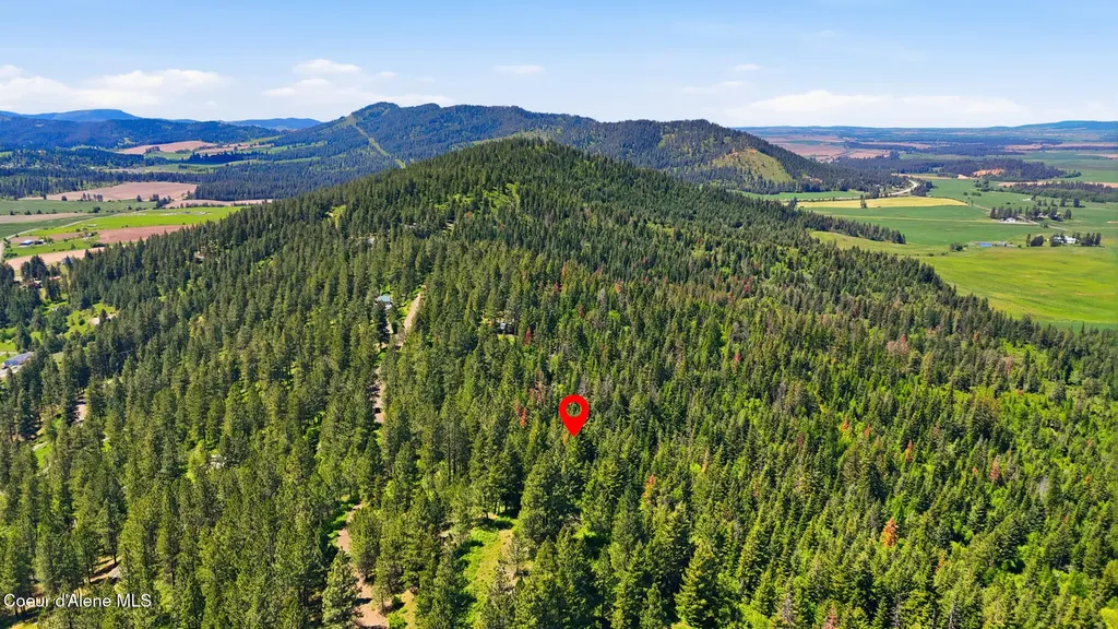 Nna S Aurora Lane Worley ID 83876