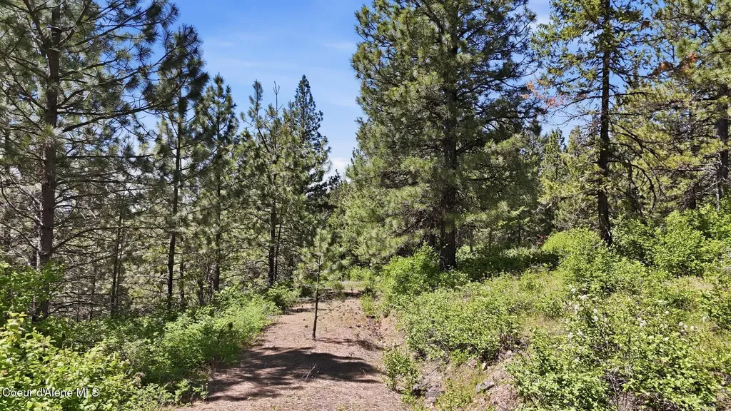 Nna S Aurora Lane Worley ID 83876