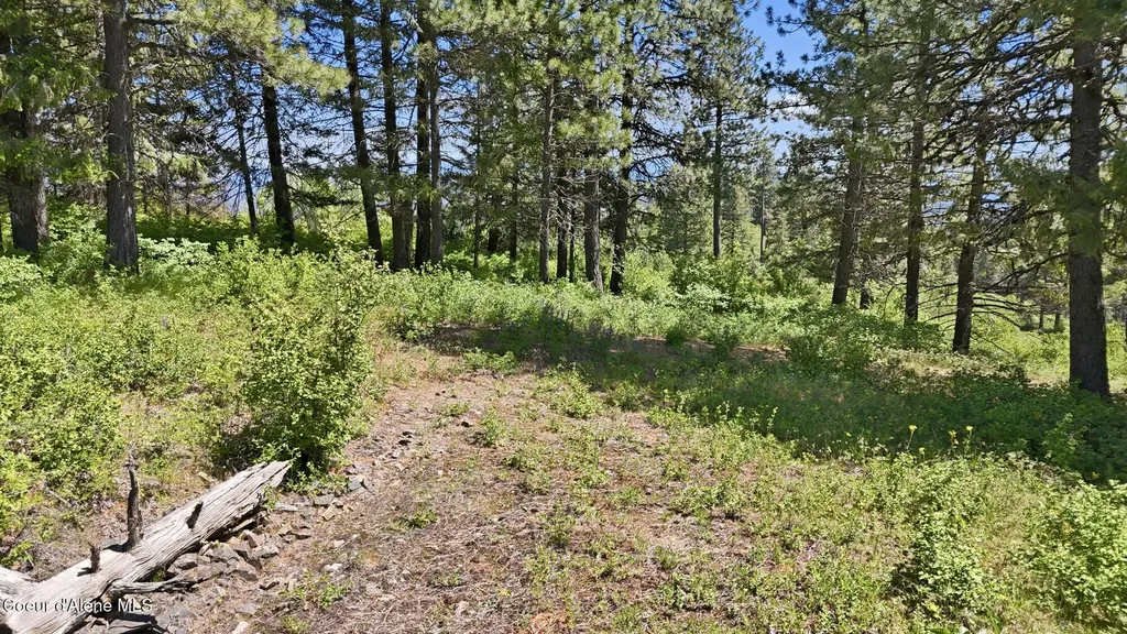 Nna S Aurora Lane Worley ID 83876