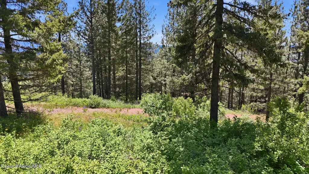 Nna S Aurora Lane Worley ID 83876