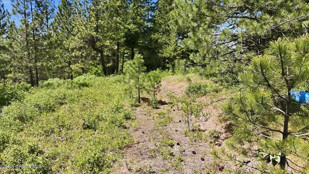 Nna S Aurora Lane Worley ID 83876