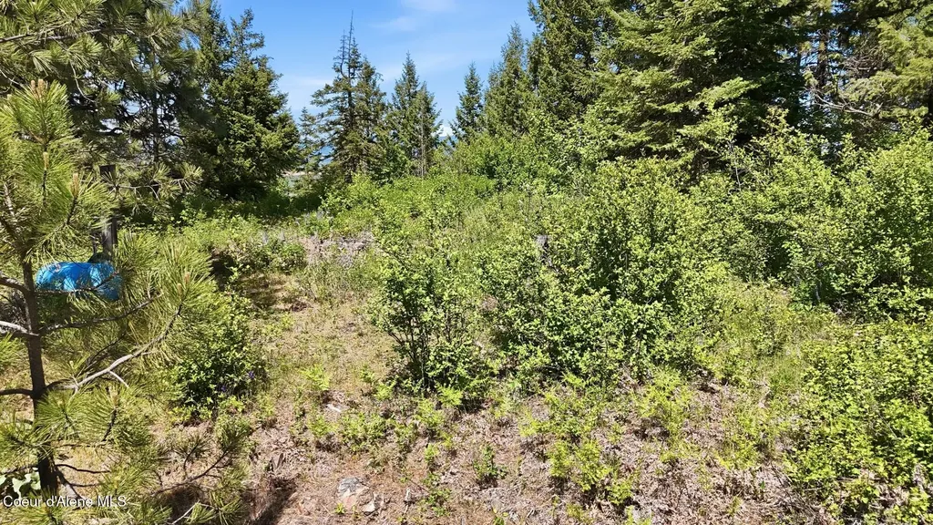 Nna S Aurora Lane Worley ID 83876