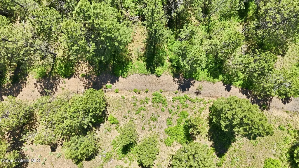 Nna S Aurora Lane Worley ID 83876
