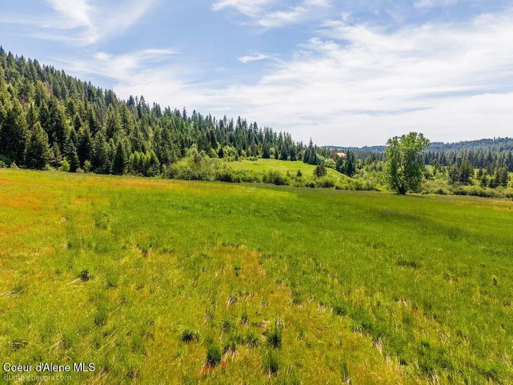 Tract C Thimbleberry Lane Plummer ID 83851