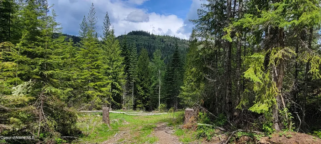 Nna Pup Paw Trail South Priest River ID 83856