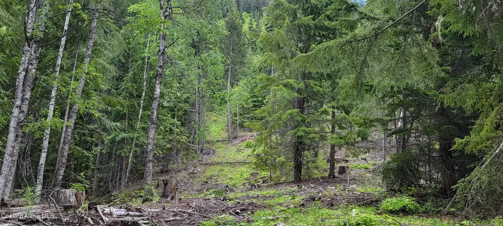 Nna Pup Paw Trail South Priest River ID 83856