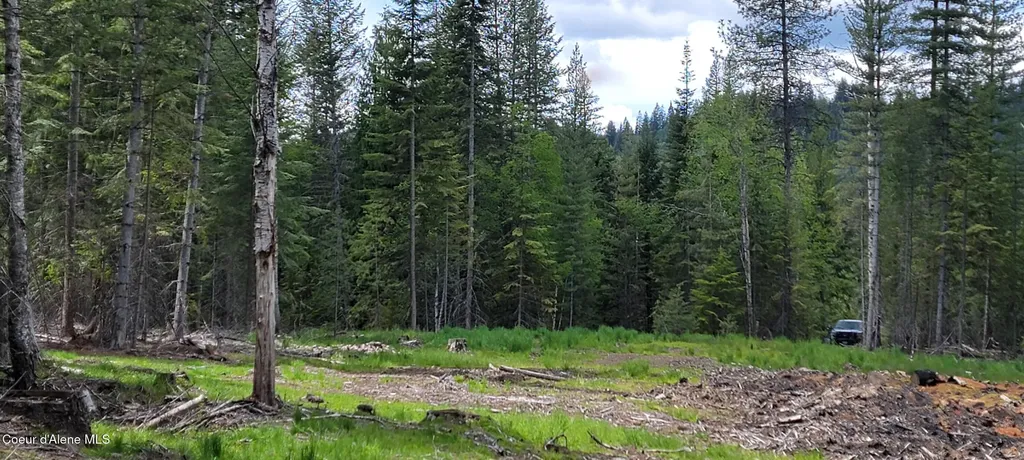 Nna Pup Paw Trail - North Priest River ID 83856