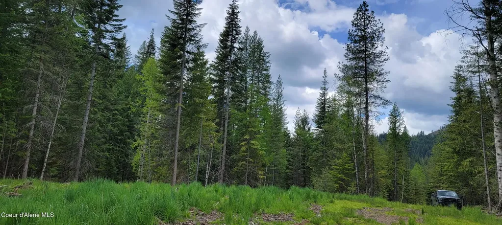 Nna Pup Paw Trail - North Priest River ID 83856