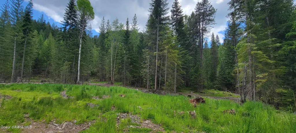 Nna Pup Paw Trail - North Priest River ID 83856