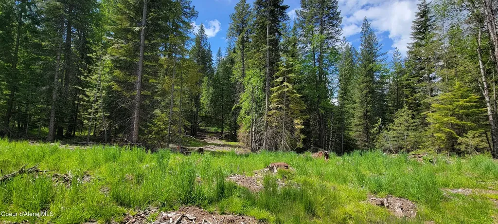 Nna Pup Paw Trail - North Priest River ID 83856