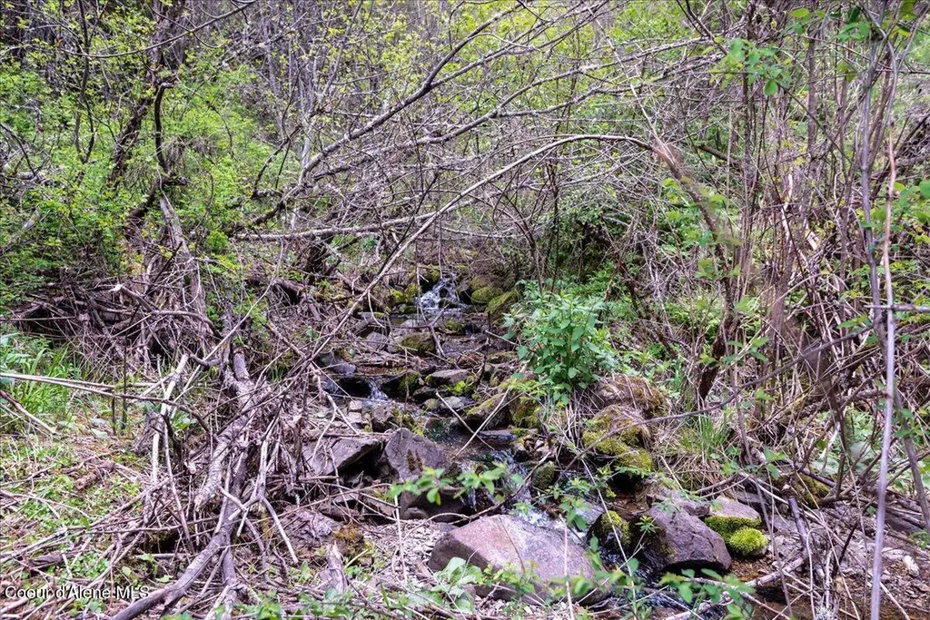 Nna N Corbin Hill Road Hayden ID 83835