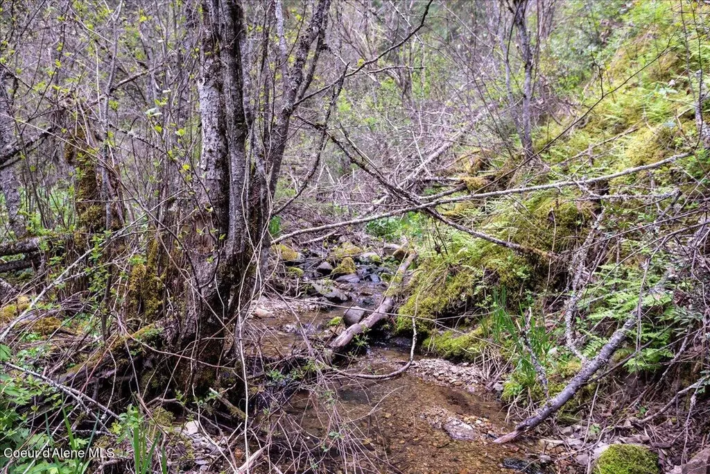 Nna N Corbin Hill Road Hayden ID 83835