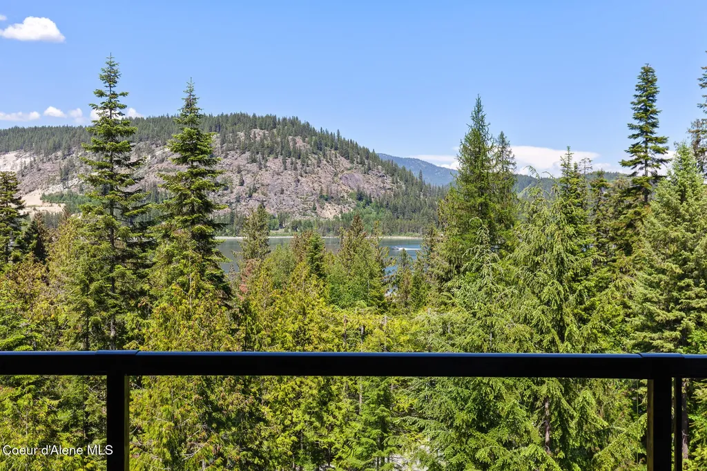 224 Buck Ridge Sagle ID 83860