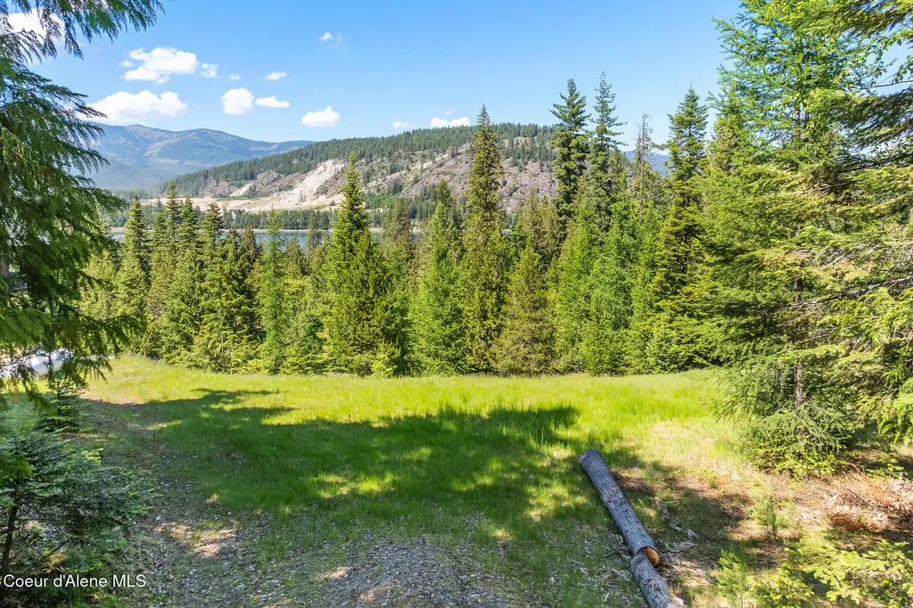 224 Buck Ridge Sagle ID 83860