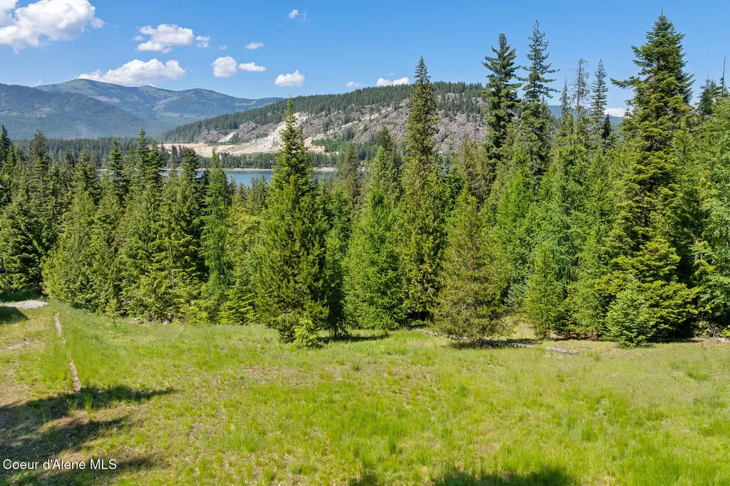 224 Buck Ridge Sagle ID 83860