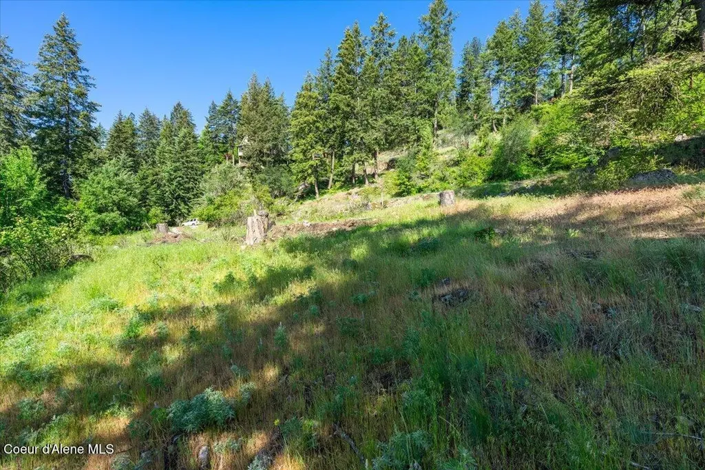 Nna Cape Horn Drive Bayview ID 83803
