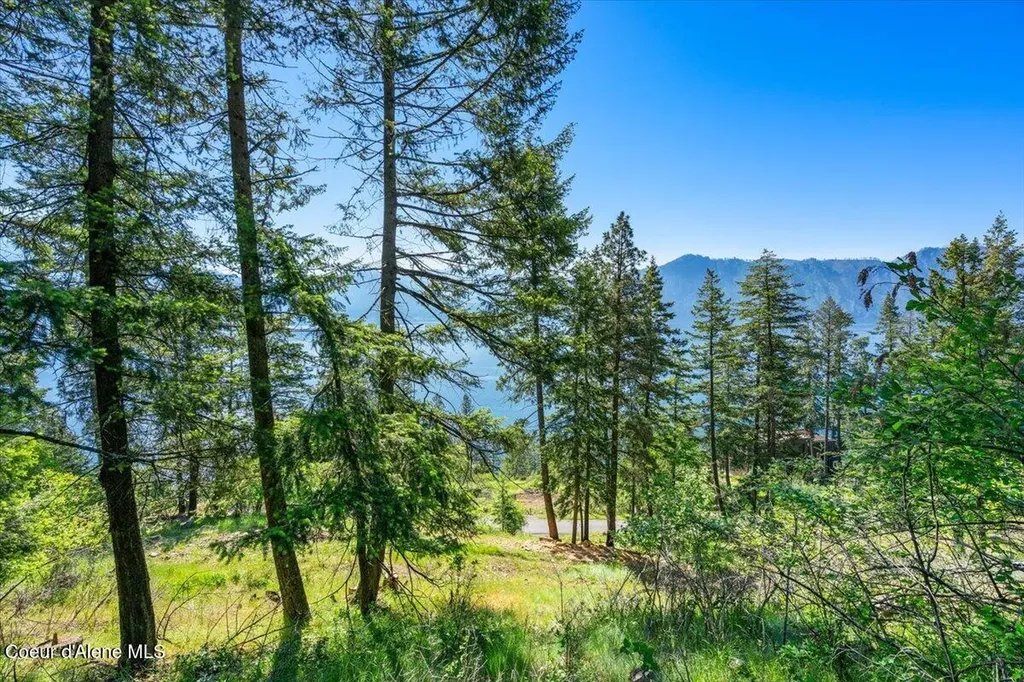 Nna Cape Horn Drive Bayview ID 83803