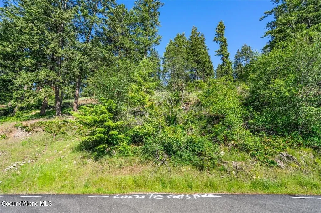 Nna Cape Horn Drive Bayview ID 83803