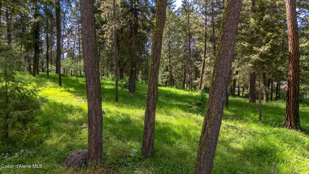 Nna Stoneridge Lot 1 Blanchard ID 83804