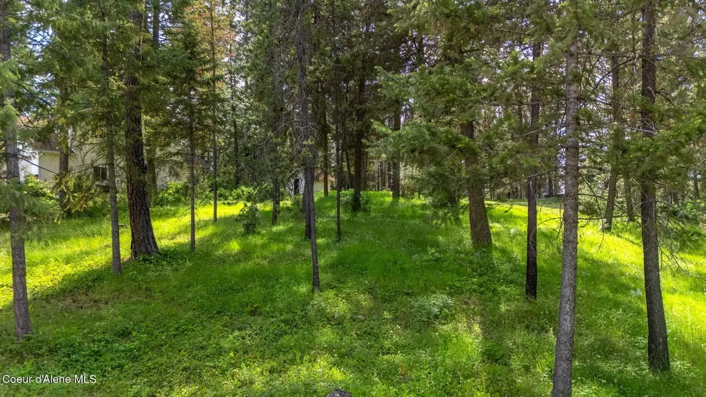 Nna Stoneridge Lot 1 Blanchard ID 83804