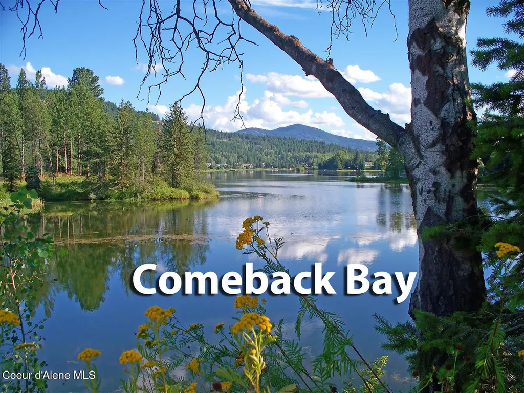 1047 Comeback Bay Lane Sagle ID 83860