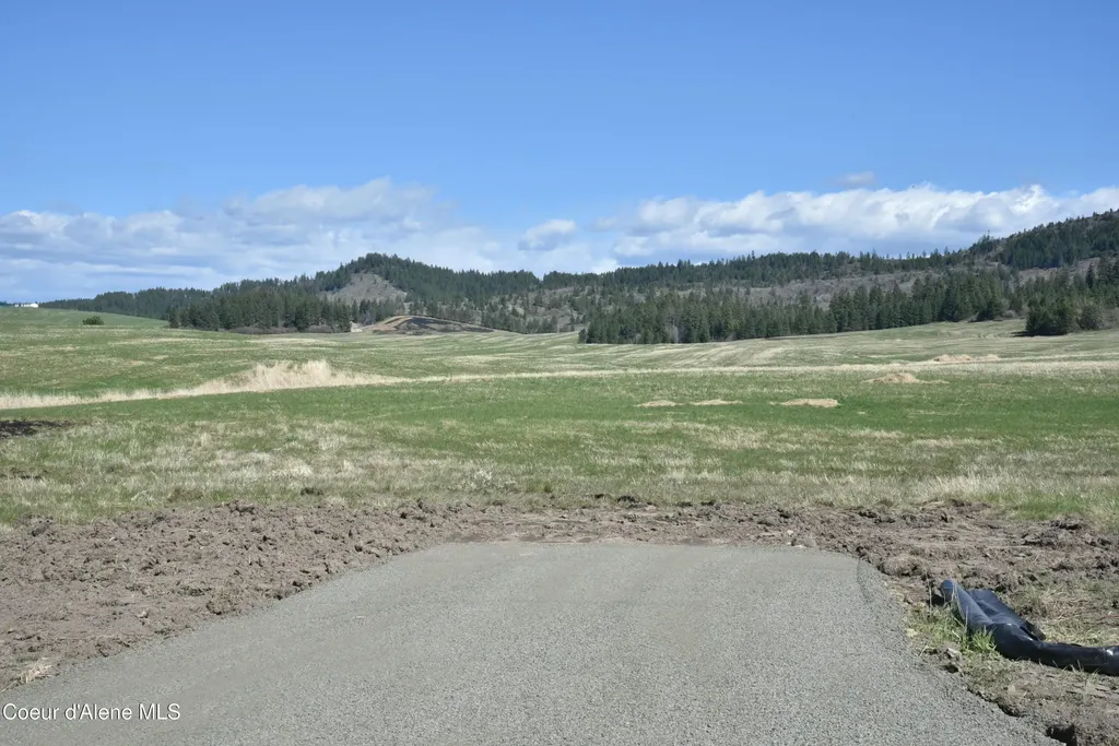 Lot 1 Mundt Road Plummer ID 83851