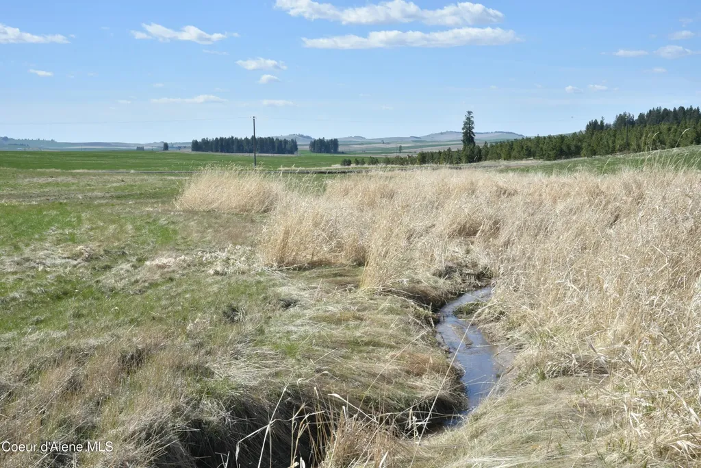 Lot 1 Mundt Road Plummer ID 83851