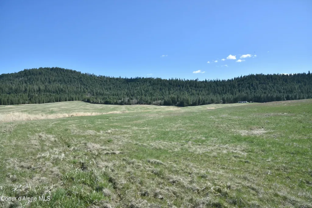 Lot 1 Mundt Road Plummer ID 83851