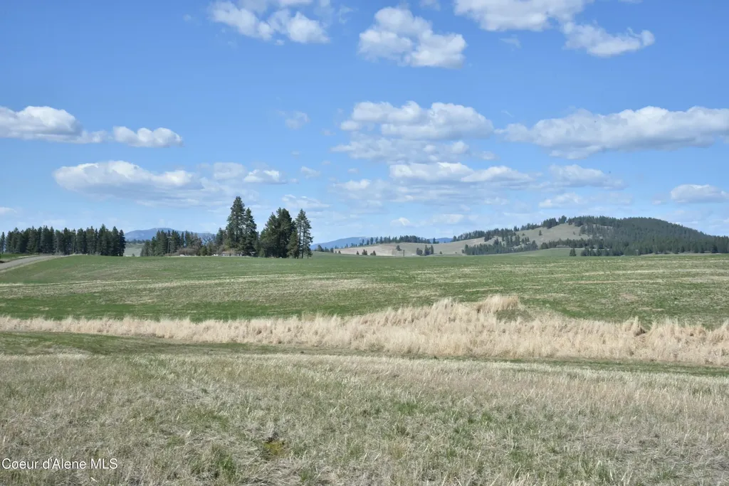Lot 1 Mundt Road Plummer ID 83851