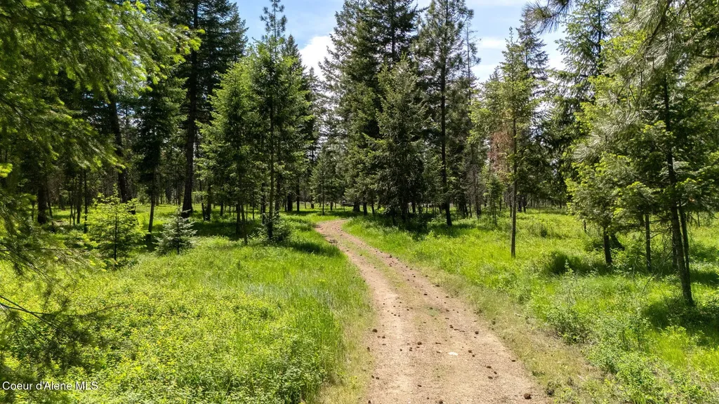 24805 N Cedar Mountain Road Athol ID 83801