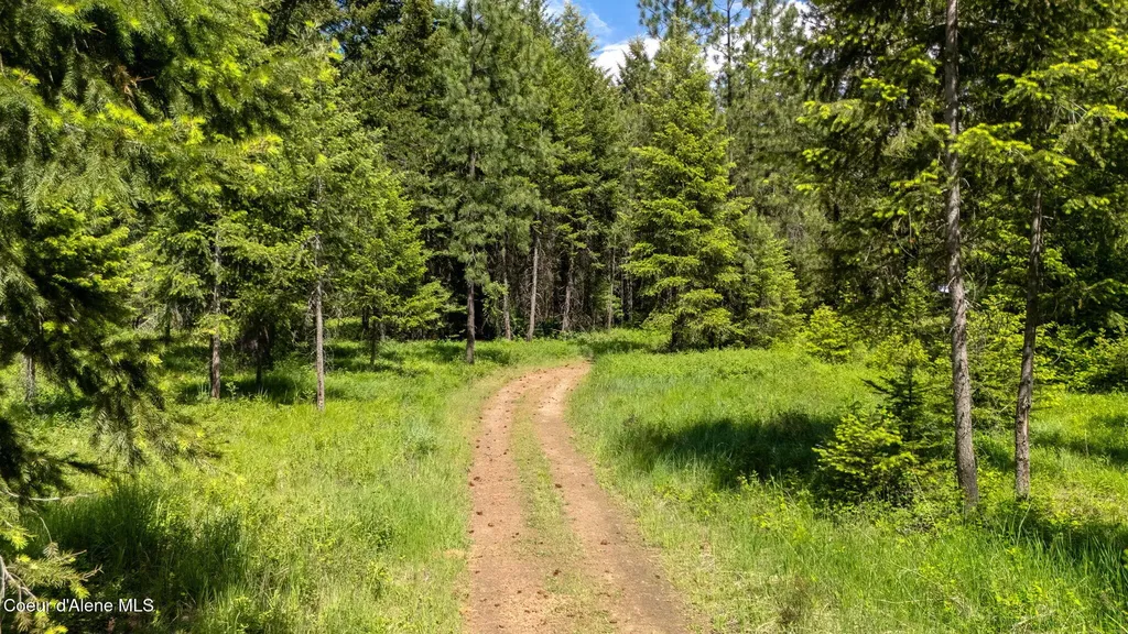 24805 N Cedar Mountain Road Athol ID 83801