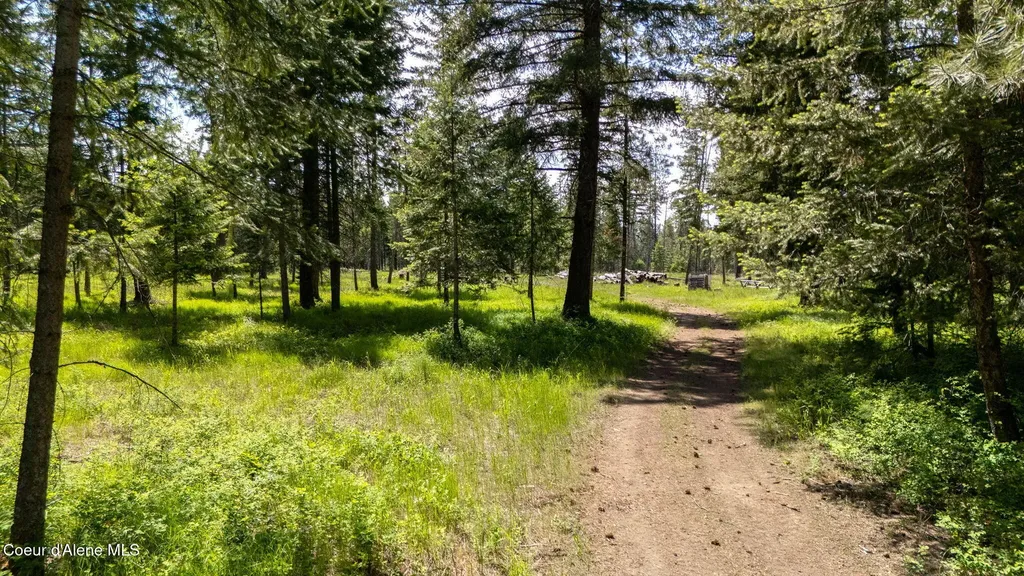 24805 N Cedar Mountain Road Athol ID 83801