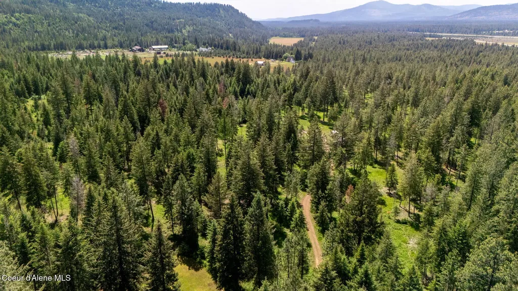 24805 N Cedar Mountain Road Athol ID 83801
