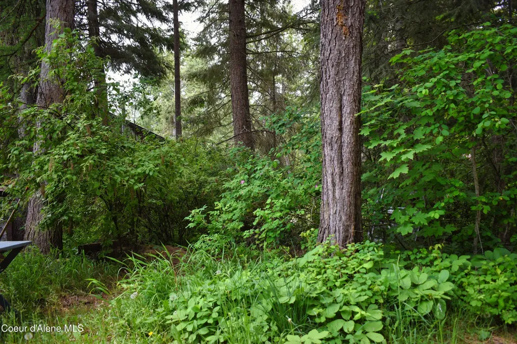 392 Shingle Mill Loop Bonners Ferry ID 83805