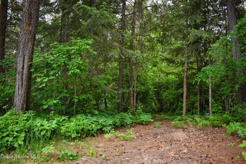 392 Shingle Mill Loop Bonners Ferry ID 83805