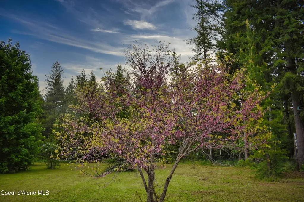 392 Shingle Mill Loop Bonners Ferry ID 83805