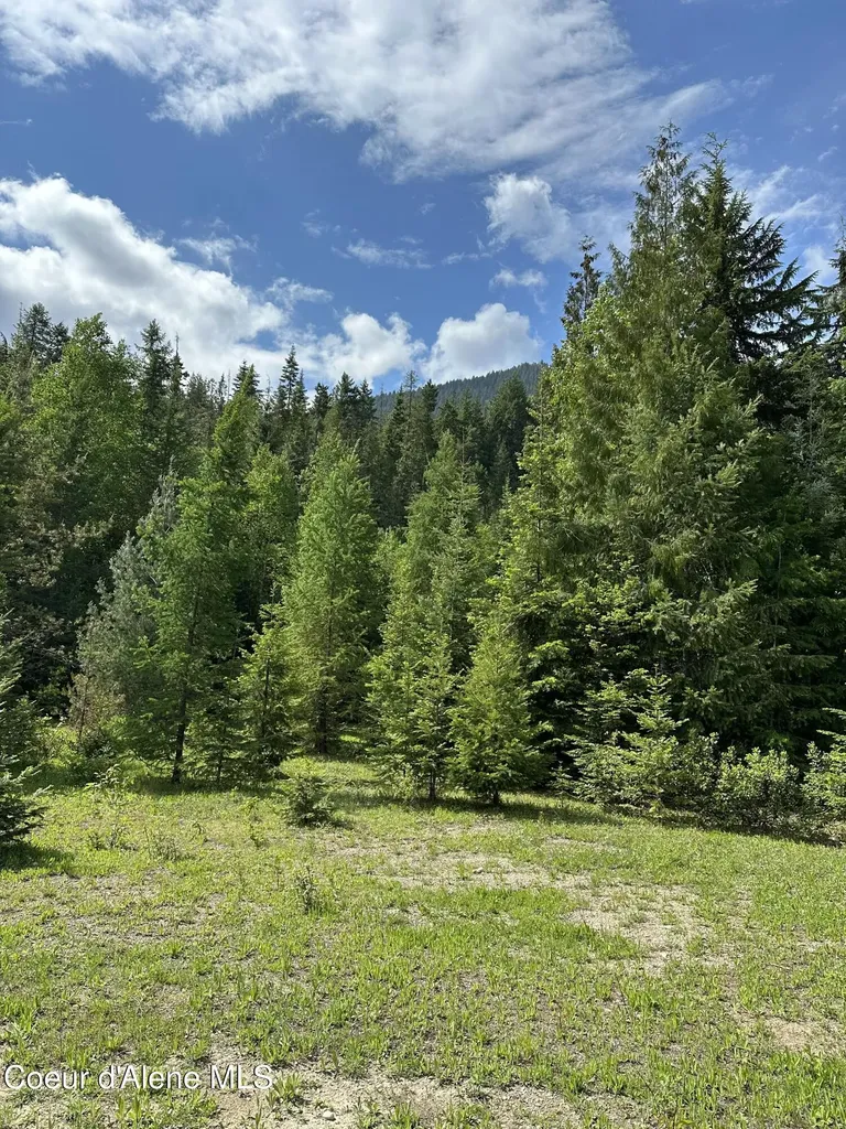 5784 River Road Clark Fork ID 83811