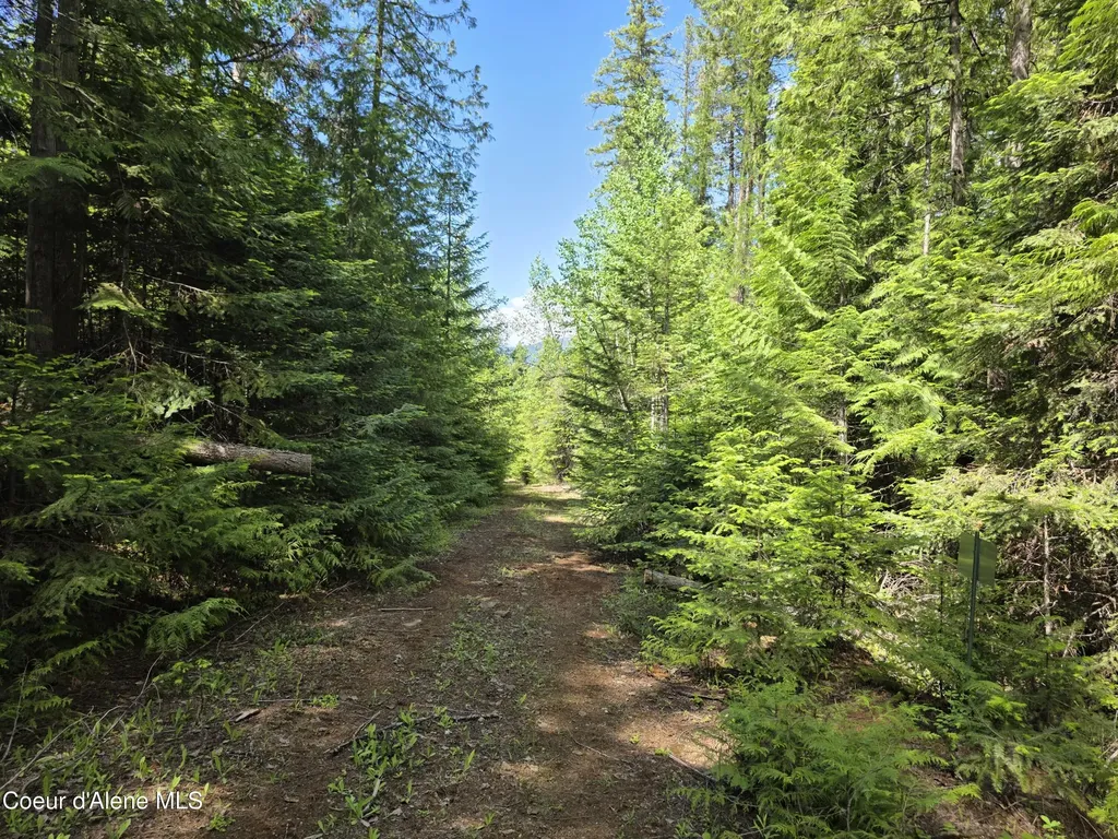 5784 River Road Clark Fork ID 83811