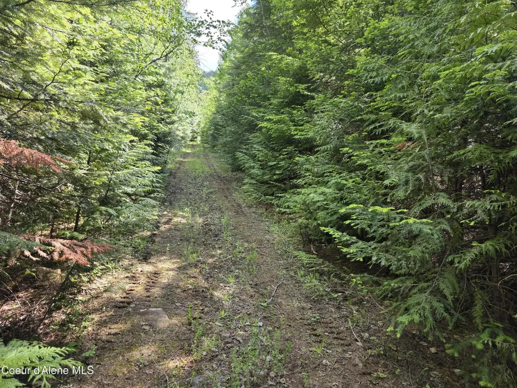 5784 River Road Clark Fork ID 83811