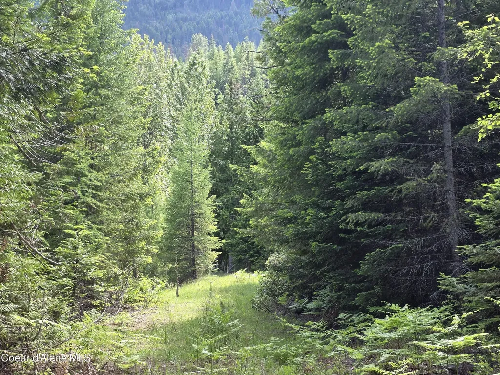 5784 River Road Clark Fork ID 83811