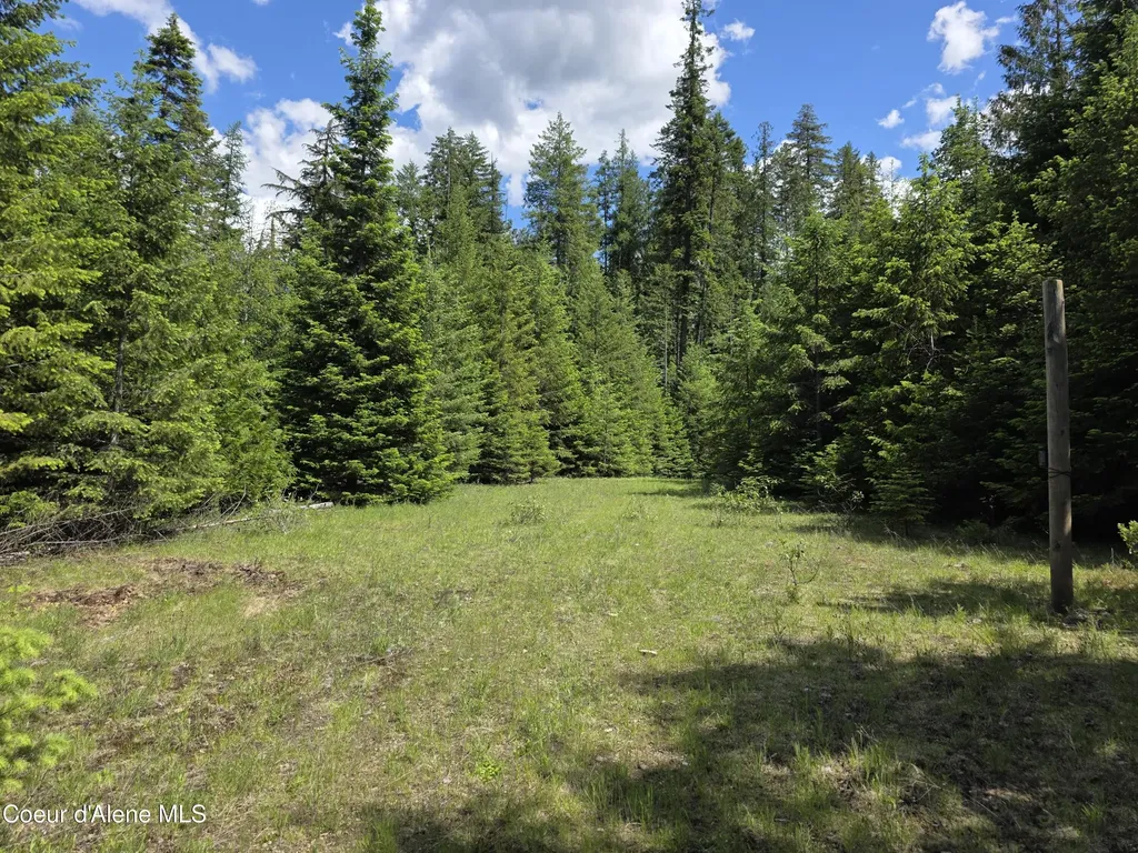 5784 River Road Clark Fork ID 83811