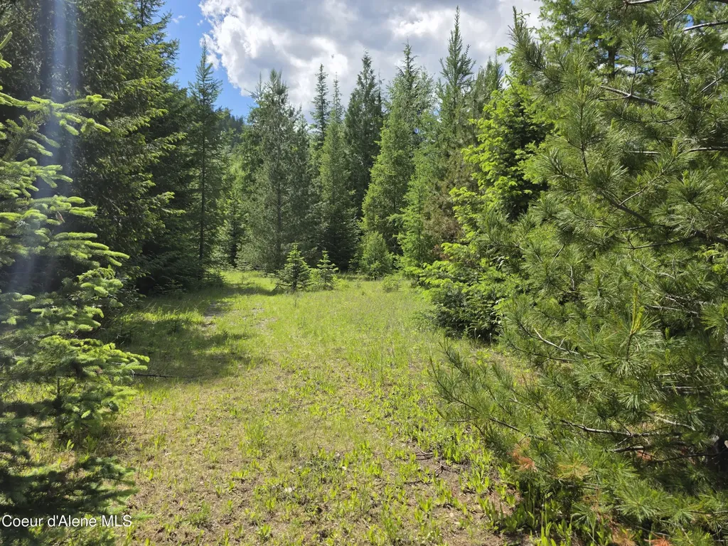 5784 River Road Clark Fork ID 83811