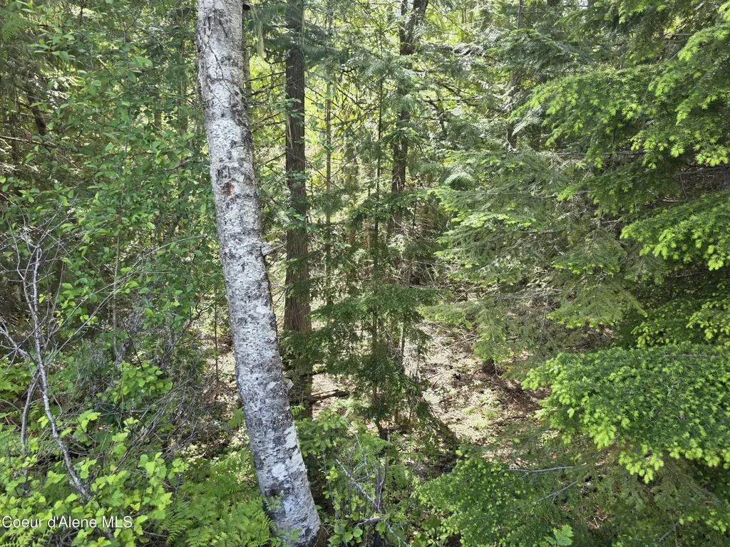 5784 River Road Clark Fork ID 83811