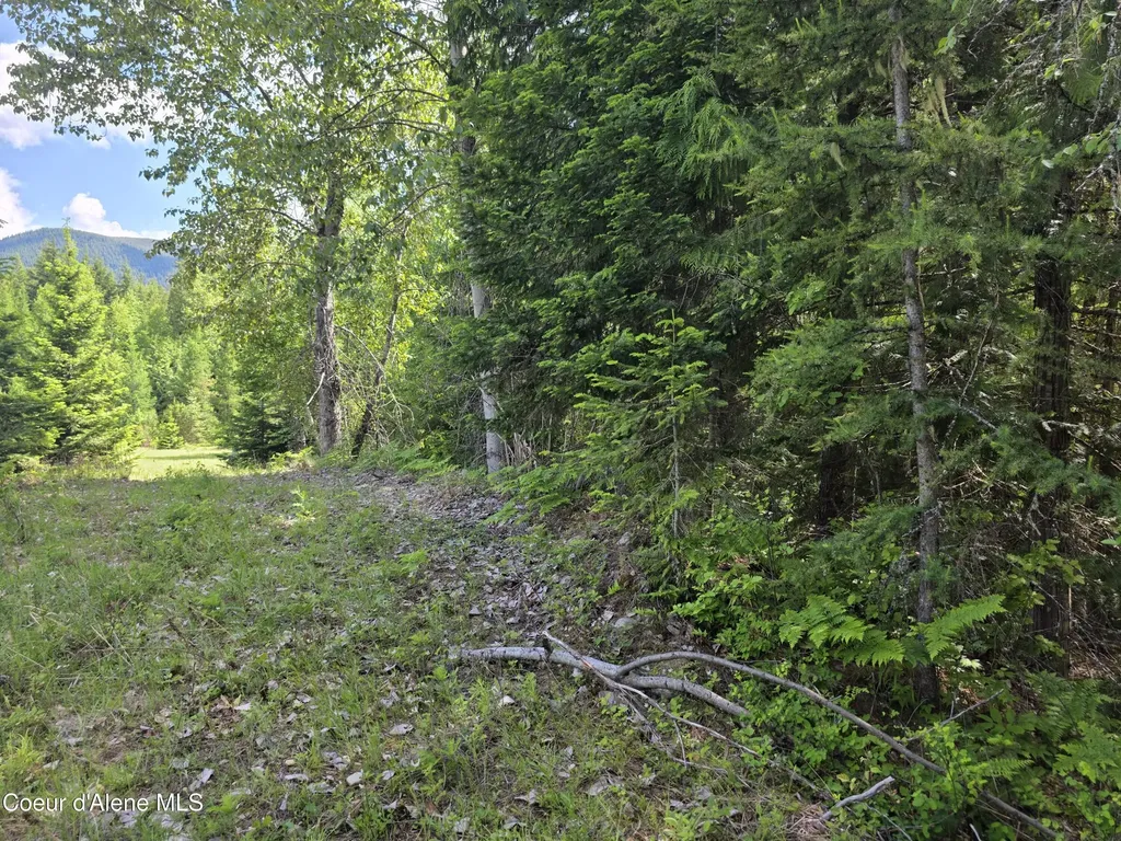 5784 River Road Clark Fork ID 83811