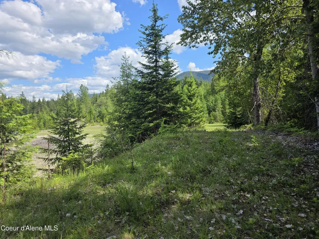 5784 River Road Clark Fork ID 83811