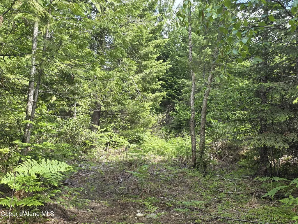 5784 River Road Clark Fork ID 83811